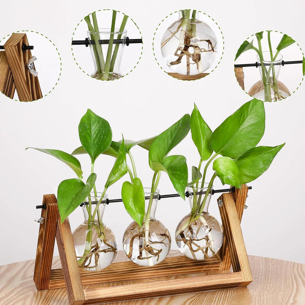 Wooden Base Glass Vase - Plant Holder & Propagation Station for Hydroponic Plants, Desktop Terrarium with Wooden Stand, Stylish Home & Office Décor, Great Gift for Plant