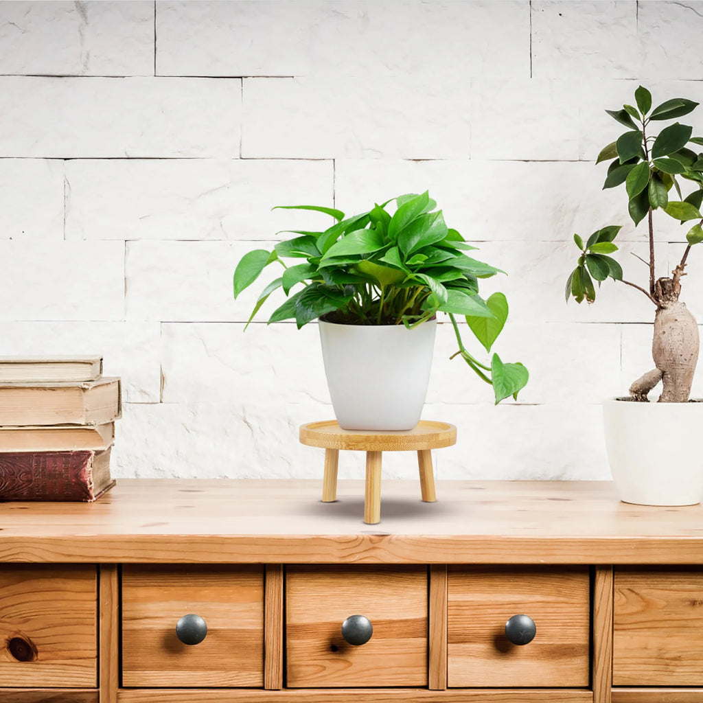 Mini Wooden Stool Flower Display Stand, Potted Plant Shelf Succulents Bonsai Rack, Vintage Wood Grain Garden Plant Pot Riser Stand for Indoor Outdoor Office Dining Room Decor